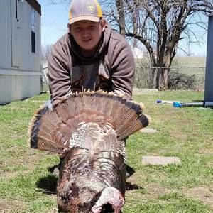 Meet your Posher, Dylan